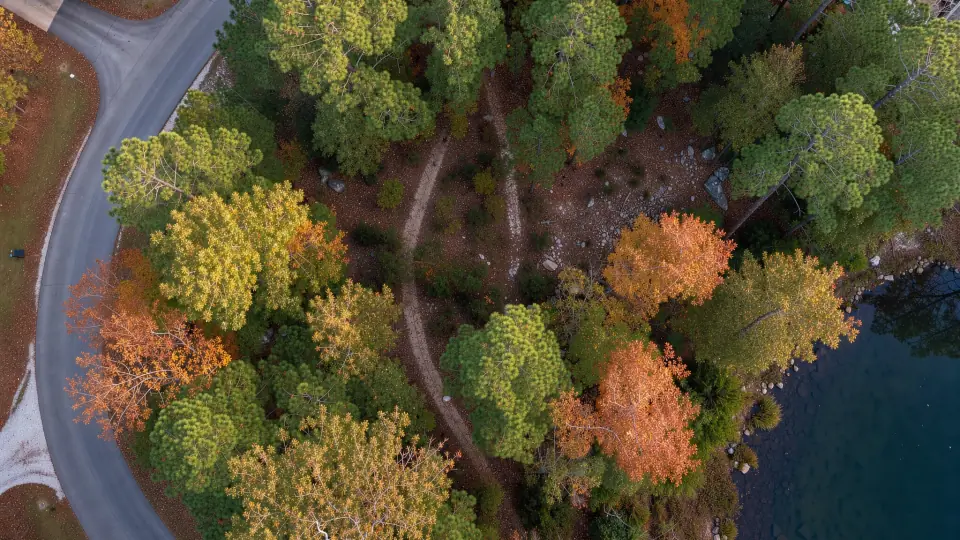 Vista aérea ilustrativa de un lote arbolado junto a un camino, como los terrenos de Cherokee Village, Arkansas