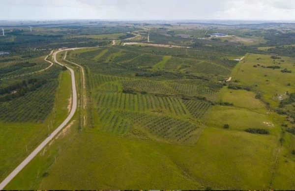 Proyecto Chacras de José Ignacio de Desarrolla Capital en José Ignacio, Uruguay