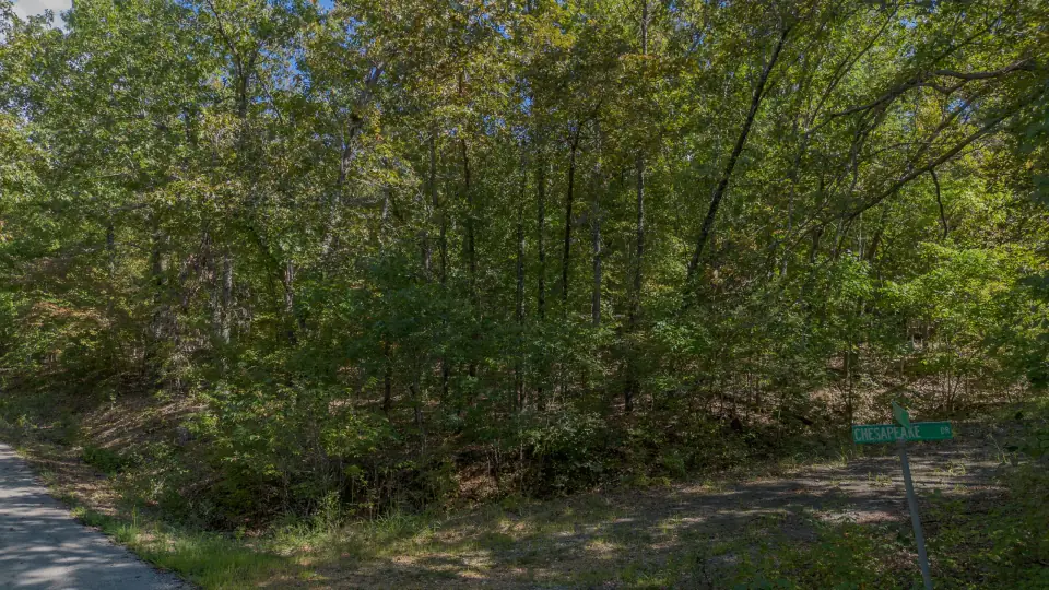 Foto de dron 3 del entorno del lote 120-11028-000, terreno en venta en Cherokee Village, Arkansas