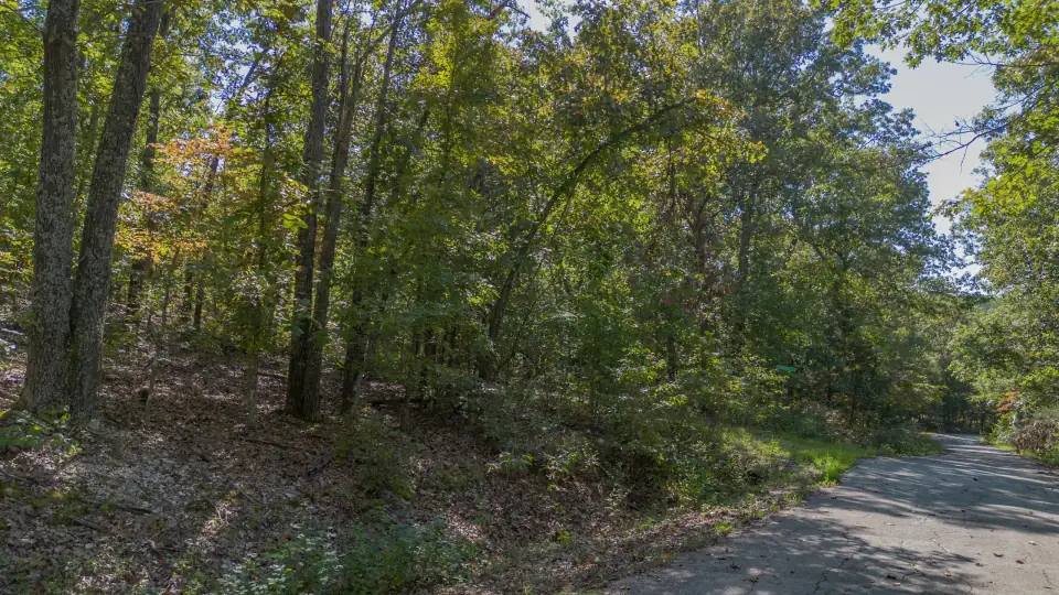 Foto de dron 5 del entorno del lote 120-11028-000, terreno en venta en Cherokee Village, Arkansas