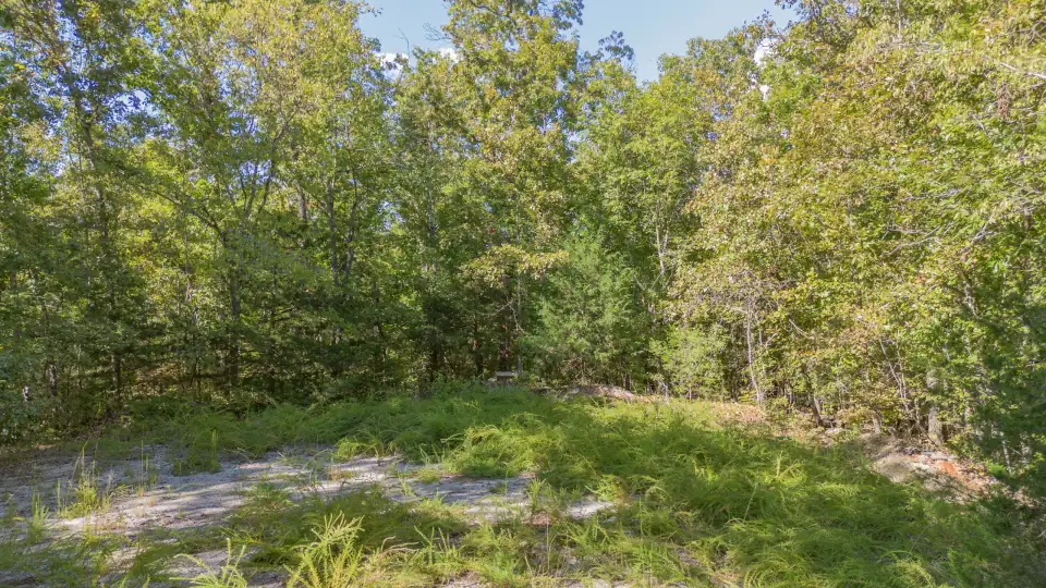Foto de dron 4 del entorno del lote 120-11066-000, terreno en venta en Cherokee Village, Arkansas