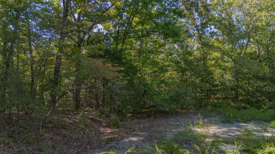 Foto de dron 5 del entorno del lote 120-11066-000, terreno en venta en Cherokee Village, Arkansas