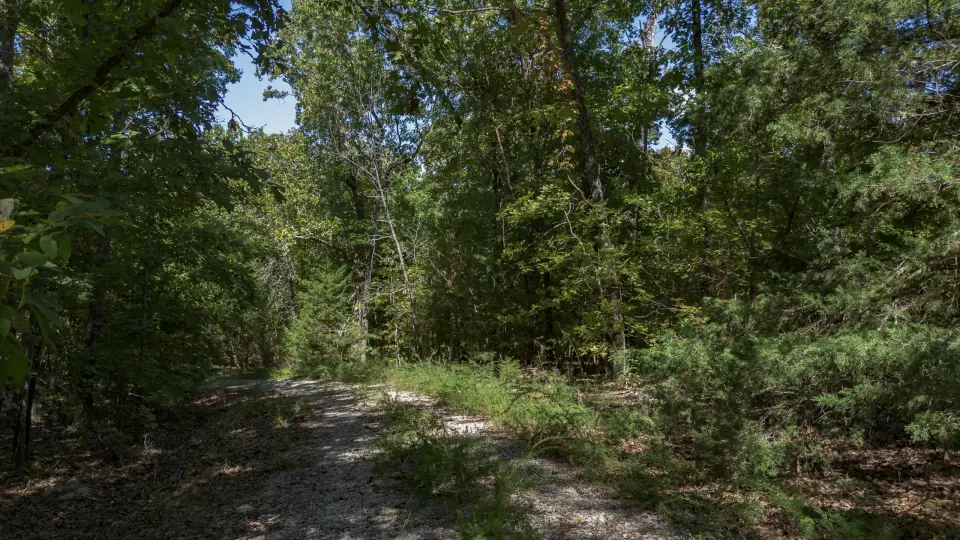 Foto de dron 3 del entorno del lote 130-11307-000, terreno en venta en Cherokee Village, Arkansas