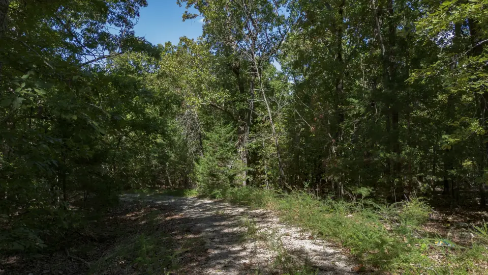 Foto de dron 4 del entorno del lote 130-11307-000, terreno en venta en Cherokee Village, Arkansas