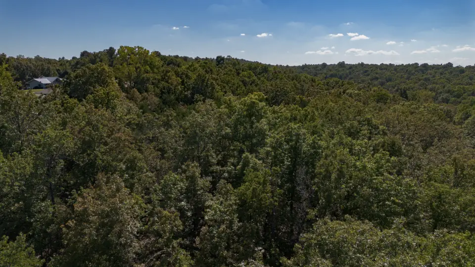 Foto de dron 5 del entorno del lote 130-11369-000, terreno en venta en Cherokee Village, Arkansas