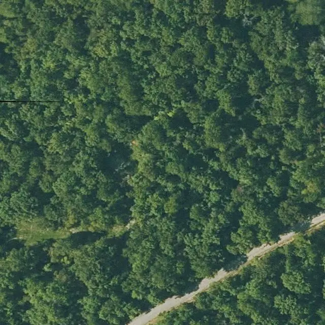 Foto aérea del lote 120-11071-000 en Cherokee Village, Arkansas, con su límite marcado entre el bosque y las calles