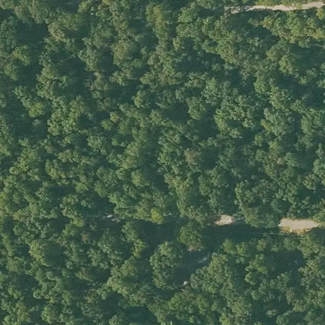 Foto aérea del lote 324-00146-000 en Cherokee Village, Arkansas, con su límite marcado entre el bosque y las calles
